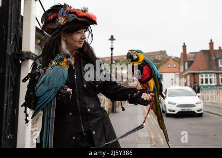 WHITBY, INGHILTERRA. Aprile 24th 2022. Titolare di Parrots & Pirates Ltd in possesso di due pappagalli è visto su Bridge Street a Whitby durante il fine settimana Goth. Foto Stock