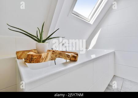 Pianta decorativa su una vasca in un bagno luminoso con una finestra sul soffitto del tetto Foto Stock