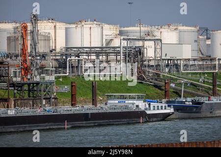 Duisburg, Renania settentrionale-Vestfalia, Germania - Porto di Duisburg, Duisburg Ruhrort, isola petrolifera, petroliere di fronte all'azienda agricola di serbatoi per prodotti petroliferi minerali, combustibile Foto Stock