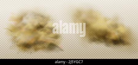 Nuvole di polvere. Fumo marrone sporco, smog denso pesante con sabbia di mottes e particelle di terreno isolate su fondo trasparente. Design dei vapori inquinanti Illustrazione Vettoriale