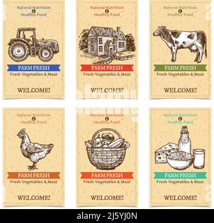 Sei etichette verticali fattoria di benvenuto banner con cibo sano fattoria animali trattore casa colonica con textural beige sfondo schizzo disegnato a mano vect. isolato Illustrazione Vettoriale