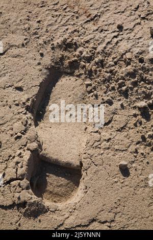 Primo piano di una stampa di stivali in sabbia fine in un cantiere. Foto Stock