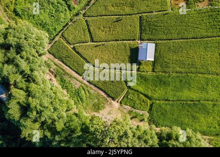 Punto di vista di un Rifugio in un campo di Paddy Foto Stock