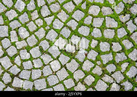 l'erba verde cresce attraverso gli spazi vuoti nelle pietre di granito pavimentazione Foto Stock