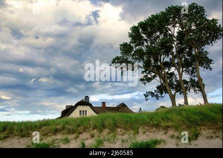 Tradizionale casa sulla spiaggia dietro le dune di sabbia vicino al Mar Baltico Foto Stock
