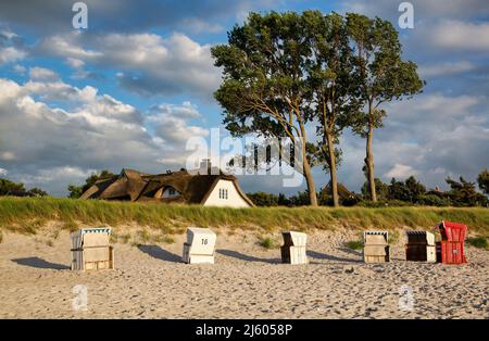 Tradizionale casa sulla spiaggia dietro le dune di sabbia vicino al Mar Baltico Foto Stock