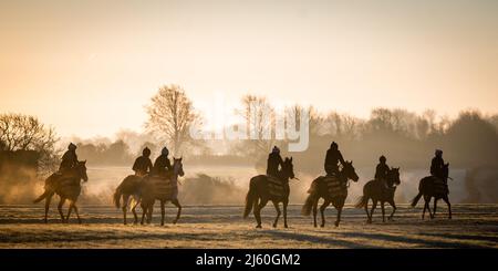 Cavalli da corsa allenati all'alba al galoppo sopra Upper Lambourn nelle Berkshire Downs. Aprile 2022 Foto Stock