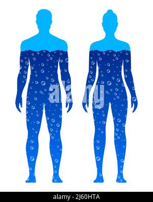 Silhouette corpo maschile e femminile, piene di acqua blu, isolate su sfondo bianco. Illustrazione del vettore della composizione dell'acqua del corpo umano. Illustrazione Vettoriale