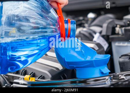 Primo piano il conducente versa il liquido lavavetri blu senza congelamento nel serbatoio della vettura. Foto Stock