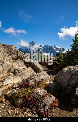 WA21452-00...WASHINGTON - Monte Shuksan visto dalla zona Artist Point del Monte Baker - Snoqualmie National Forest. Foto Stock