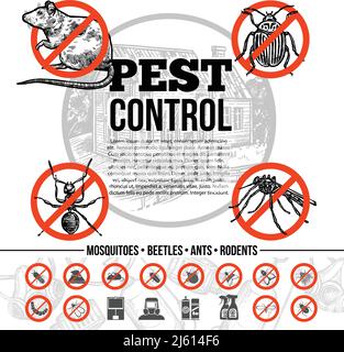 Infografiche di controllo di peste con le icone di ratto di insetti e mezzi di protezione nell'illustrazione vettoriale isolata in stile di schizzo Illustrazione Vettoriale