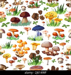 Modello senza giunture di funghi con specie selvatiche di foresta così come suillus puffball russula chanterelle shiitake tartufo miele fungo vettore cartone animato illu Illustrazione Vettoriale