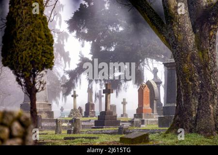 Mattina di nebbia nel cimitero di Ross Bay - Victoria, Vancouver Island, British Columbia, Canada Foto Stock