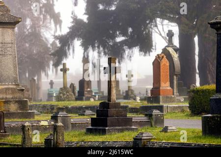 Mattina di nebbia nel cimitero di Ross Bay - Victoria, Vancouver Island, British Columbia, Canada Foto Stock