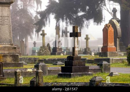 Mattina di nebbia nel cimitero di Ross Bay - Victoria, Vancouver Island, British Columbia, Canada Foto Stock