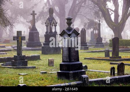 Mattina di nebbia nel cimitero di Ross Bay - Victoria, Vancouver Island, British Columbia, Canada Foto Stock