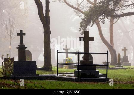 Mattina di nebbia nel cimitero di Ross Bay - Victoria, Vancouver Island, British Columbia, Canada Foto Stock