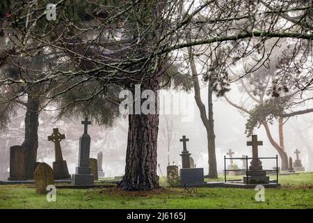 Mattina di nebbia nel cimitero di Ross Bay - Victoria, Vancouver Island, British Columbia, Canada Foto Stock