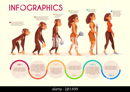 L'evoluzione delle donne staglia l'infografia vettoriale dei cartoni animati. Scimmia, primate femminile che cammina in verticale, cacciatore di età preistorica con arma di pietra e donna moderna Illustrazione Vettoriale