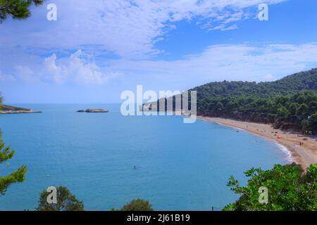 Spiaggia Baia di campi vicino a Vieste in Puglia, Italia. La spiaggia di ciottoli è una pittoresca baia riparata a sud dalla roccia dei campi, incorniciata da ulivi. Foto Stock