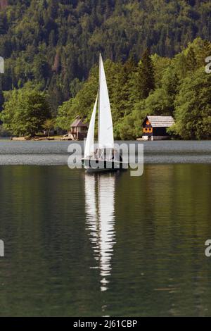 Lago di Bohinj (Bohinjsko jezero), Parco Nazionale del Triglav, Slovenia. Vela sul lago. Foto Stock