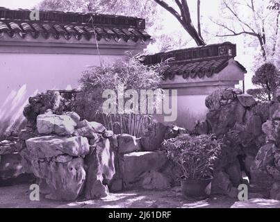 Giardino situato nel Parco della Citta' Murato di Kowloon, Hong Kong Foto Stock