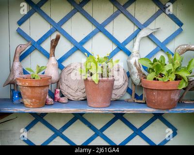 Espositore con pentole in terracotta e oche modello, Kathy Brown's Garden, Stevington, Bedfordshire, UK Foto Stock