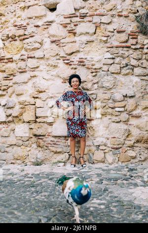 Donna con le mani sull'anca in piedi davanti al pavone Foto Stock