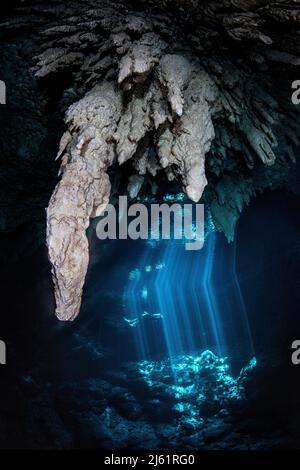 Cenote El Pit Foto Stock
