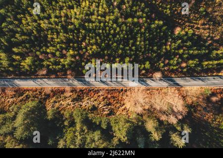 Regno Unito, Galles, veduta aerea dell'autostrada che si estende attraverso il paesaggio autunnale del Parco Nazionale di Snowdonia Foto Stock