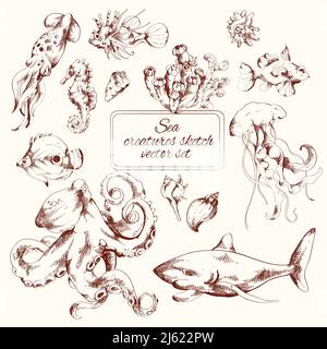 Sea Creatures sketch icone decorative Imposta illustrazione vettoriale isolata Illustrazione Vettoriale