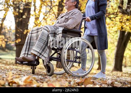 Operatore sanitario che cammina con l'uomo disabile seduto in sedia a rotelle al parco Foto Stock