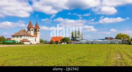 Germania, Baden-Wurttemberg, Isola di Reichenau, campo agricolo in estate con Basilica dei Santi Pietro e Paolo sullo sfondo Foto Stock