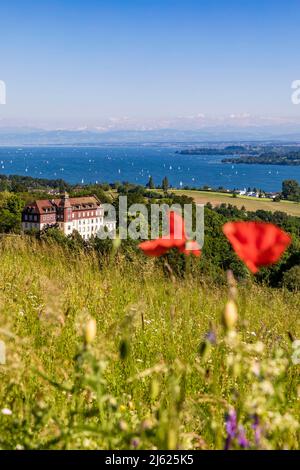 Germania, Baden-Wurttemberg, Uberlingen, Salem International College e Lago di Costanza visto da Hodinger Hohe in estate Foto Stock
