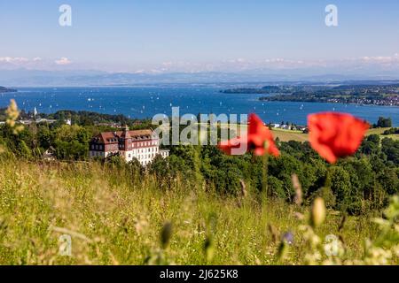 Germania, Baden-Wurttemberg, Uberlingen, Salem International College e Lago di Costanza visto da Hodinger Hohe in estate Foto Stock