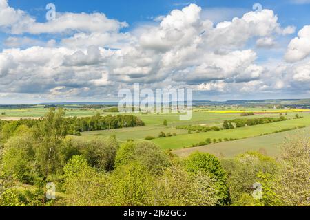 Vista aerea sul paesaggio rurale con campi Foto Stock