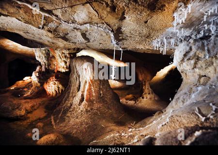 La grotta Cosquer è un tesoro archeologico sommerso nel torrente di Marsiglia. Questa grotta scoperta nel 1990s dal subacqueo Henri Cosquer include più di 270 opere d'arte preistoriche, tra cui rappresentazioni uniche di pinguini, foche e meduse.a causa dell'aumento delle acque a causa del riscaldamento globale, la grotta scomparirà. La costruzione della sua risposta rimarrà in futuro l'unica testimonianza di questo tesoro dell'umanità. Costruito nella costruzione della villa mediterranea a Marsiglia, l'apertura al pubblico è prevista per il 4 giugno 2022. Marsiglia, Francia meridionale, Foto Stock