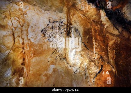 La grotta Cosquer è un tesoro archeologico sommerso nel torrente di Marsiglia. Questa grotta scoperta nel 1990s dal subacqueo Henri Cosquer include più di 270 opere d'arte preistoriche, tra cui rappresentazioni uniche di pinguini, foche e meduse.a causa dell'aumento delle acque a causa del riscaldamento globale, la grotta scomparirà. La costruzione della sua risposta rimarrà in futuro l'unica testimonianza di questo tesoro dell'umanità. Costruito nella costruzione della villa mediterranea a Marsiglia, l'apertura al pubblico è prevista per il 4 giugno 2022. Marsiglia, Francia meridionale, Foto Stock