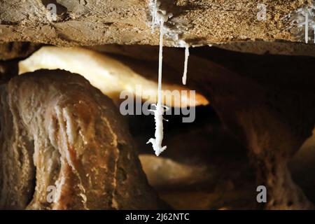 La grotta Cosquer è un tesoro archeologico sommerso nel torrente di Marsiglia. Questa grotta scoperta nel 1990s dal subacqueo Henri Cosquer include più di 270 opere d'arte preistoriche, tra cui rappresentazioni uniche di pinguini, foche e meduse.a causa dell'aumento delle acque a causa del riscaldamento globale, la grotta scomparirà. La costruzione della sua risposta rimarrà in futuro l'unica testimonianza di questo tesoro dell'umanità. Costruito nella costruzione della villa mediterranea a Marsiglia, l'apertura al pubblico è prevista per il 4 giugno 2022. Marsiglia, Francia meridionale, Foto Stock