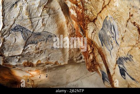 La grotta Cosquer è un tesoro archeologico sommerso nel torrente di Marsiglia. Questa grotta scoperta nel 1990s dal subacqueo Henri Cosquer include più di 270 opere d'arte preistoriche, tra cui rappresentazioni uniche di pinguini, foche e meduse.a causa dell'aumento delle acque a causa del riscaldamento globale, la grotta scomparirà. La costruzione della sua risposta rimarrà in futuro l'unica testimonianza di questo tesoro dell'umanità. Costruito nella costruzione della villa mediterranea a Marsiglia, l'apertura al pubblico è prevista per il 4 giugno 2022. Marsiglia, Francia meridionale, Foto Stock