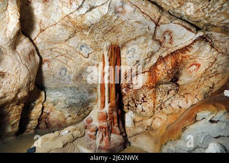 La grotta Cosquer è un tesoro archeologico sommerso nel torrente di Marsiglia. Questa grotta scoperta nel 1990s dal subacqueo Henri Cosquer include più di 270 opere d'arte preistoriche, tra cui rappresentazioni uniche di pinguini, foche e meduse.a causa dell'aumento delle acque a causa del riscaldamento globale, la grotta scomparirà. La costruzione della sua risposta rimarrà in futuro l'unica testimonianza di questo tesoro dell'umanità. Costruito nella costruzione della villa mediterranea a Marsiglia, l'apertura al pubblico è prevista per il 4 giugno 2022. Marsiglia, Francia meridionale, Foto Stock