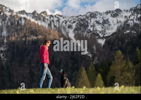 Bella nera labrador Retriever seduto di fronte al suo proprietario con un manichino retreivers in bocca con montagne innevate sullo sfondo. Foto Stock