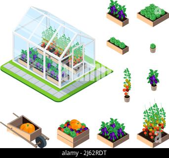 Set isometrico a serra con piante e verdure da giardino elementi isolati illustrazione vettoriale Illustrazione Vettoriale