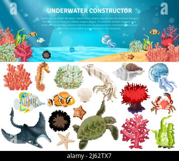 Sea LIFE animali piante e cartoni animati paesaggio icone set costruttore illustrazione vettoriale Illustrazione Vettoriale