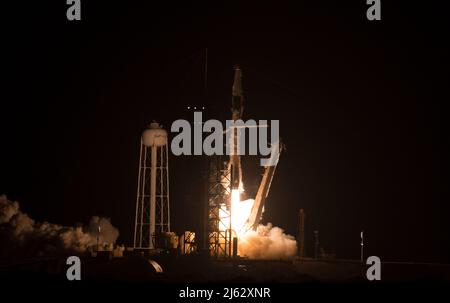 Un razzo SpaceX Falcon 9 che trasporta la navicella spaziale Crew Dragon della compagnia è lanciato sulla missione SpaceX Crew-4 della NASA alla Stazione spaziale Internazionale con gli astronauti della NASA Kjell Lindgren, Robert Hines, Jessica Watkins, E l'astronauta Samantha Cristoforetti dell'ESA (Agenzia spaziale europea) a bordo, mercoledì 27 aprile 2022, presso il Kennedy Space Center della NASA in Florida. La missione SpaceX Crew-4 della NASA è la quarta missione di rotazione dell'equipaggio della navicella spaziale SpaceX Crew Dragon e del razzo Falcon 9 per la Stazione spaziale Internazionale come parte del programma Commercial Crew dell'agenzia. Lindgren, Hines, Watkins e Cr Foto Stock