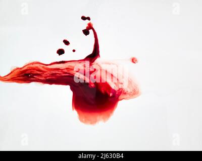 Gocce di sangue rosso isolate su sfondo bianco. Foto Stock