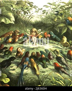 Richard Doyle - Elfo musicale che insegna ai giovani uccelli a cantare Foto Stock