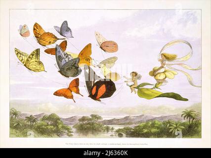 Richard Doyle - la regina delle fate prende un azionamento arioso in una carrozza leggera, un dodici-in-mano, disegnato da Thoroughbred Butterflies - 1870 Foto Stock