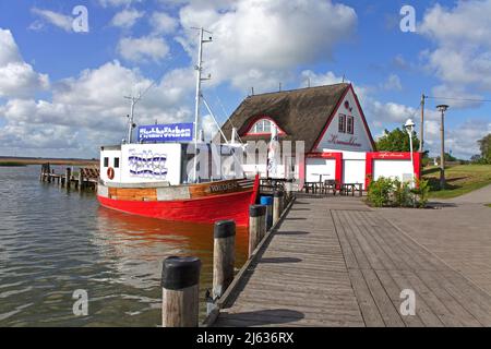 Taglierina e gru presso il porto di Zingst, Zingster Strom, Fischland, Meclemburgo-Pomerania occidentale, Mar Baltico, Germania Foto Stock