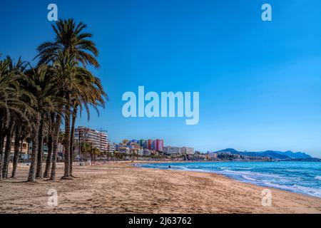 Villajoyosa Spagna bella spiaggia con palme Costa Blanca Alicante Foto Stock